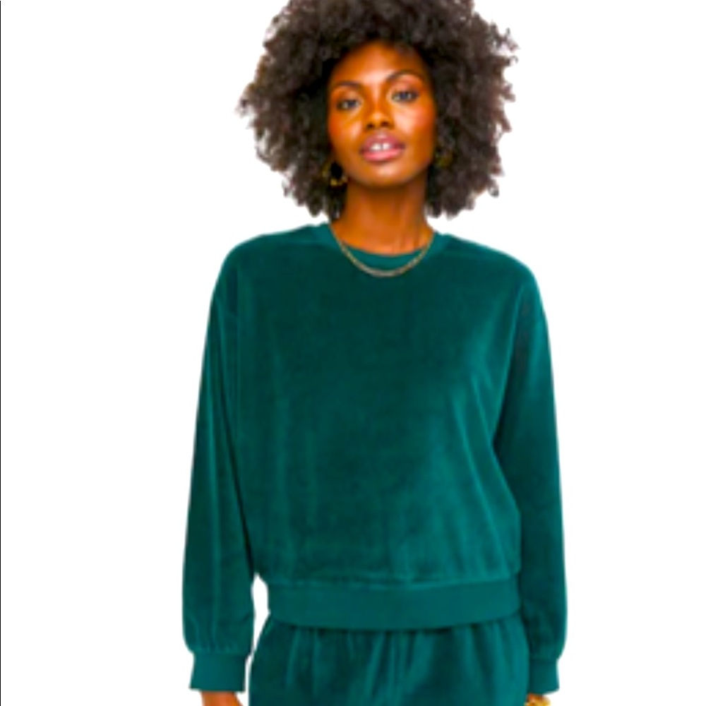 Moonlight Velour Sweatshirt in Pine Needle - NWT Great quality & lovely color💚